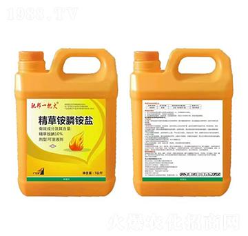 10%�����@��@�}5����-�Y��һ�ѻ�-�t̫�