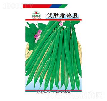 �����N��-��(y��u)���ߵض�-̫���N�I(y��)