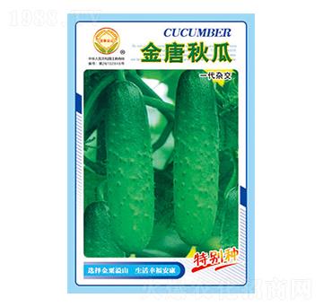 �S�ϷN��-�������-̫���N�I(y��)