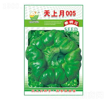 �����ϷN��-������005-̫��(l��)�N�I(y��)