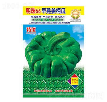 �����ϷN��-����66-̫��(l��)�N�I(y��)