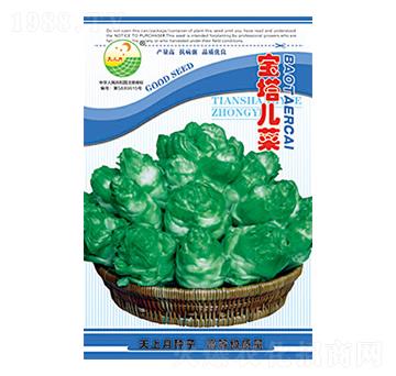 ���˷N��-��������-̫��(l��)�N�I(y��)