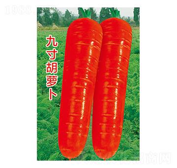 �}���N��-�Ŵ���}��-̫��(l��)�N�I(y��)