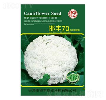 ���˷N��-���S70-���S�r(n��ng)�I(y��)