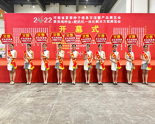 �����]�����Ĵ������������L(f��ng)�ɱM�@��