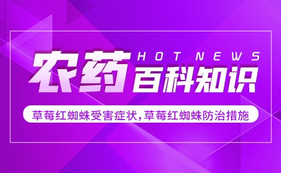 ��ݮ�t֩���ܺ��Y������ݮ�t֩����δ�ʩ