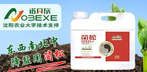 ɽ�|�Zؐ���r(n��ng)�I(y��)�l(f��)չ���޹�˾