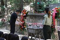 �𱬾W(w��ng)���^�S���ь�܊�ʾ����錢܊���I(xi��n)���@��